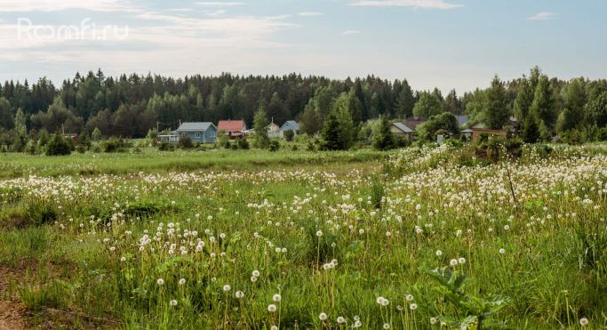 Продажа земельных участка 0.2 га - фото 2