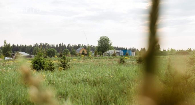 Продажа земельных участка 0.2 га, Берёзовая аллея - фото 4
