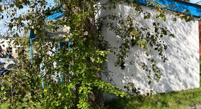 Продажа помещения свободного назначения 35.7 м², Заводская улица - фото 5