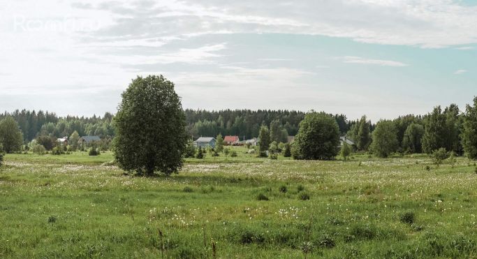 Продажа земельных участка 0.2 га - фото 3