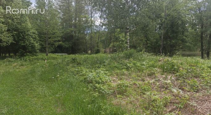 Продажа земельных участка 0.2 га - фото 5